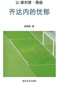 齐达内的忧郁 (湖南文艺出版社 2009)