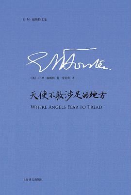 天使不敢涉足的地方