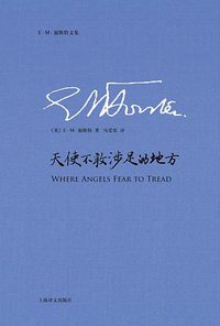 天使不敢涉足的地方 (上海译文出版社 2016)