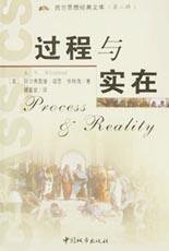 过程与实在 (中国城市 2003)
