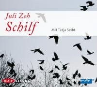 Schilf