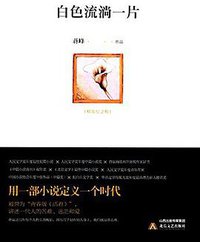 白色流淌一片 (北岳文艺出版社 2016)