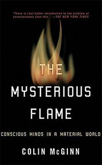The Mysterious Flame (Basic Books 2000)