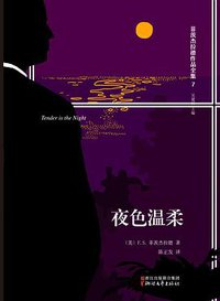 夜色温柔 (浙江文艺出版社 2016)
