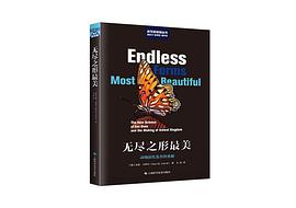 无尽之形最美