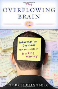 The Overflowing Brain (Oxford University Press 2008)