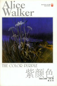 紫颜色