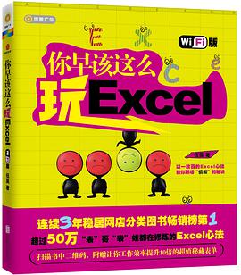 你早该这么玩excel（WiFi版）