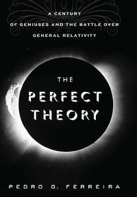 The Perfect Theory (Houghton Mifflin Harcourt 2014)