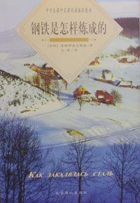 钢铁是怎样炼成的 (北京燕山出版社 2005)