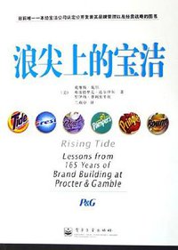 浪尖上的宝洁 (电子工业出版社 2006)