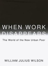 When Work Disappears (Knopf 1996)