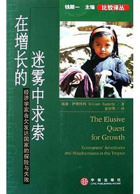 在增长的迷雾中求索 (中信出版社 2005)
