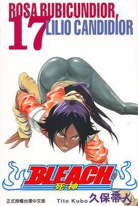 死神17 (东立出版社有限公司 2005)