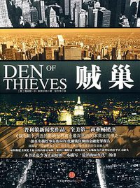 贼巢 (中信出版社 2010)