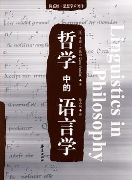 哲学中的语言学