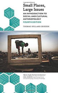 Small Places, Large Issues - Fourth Edition (Pluto Press 2015)