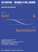 並行與弔詭 (麥田 2006)