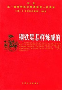 钢铁是怎样炼成的 (人民文学出版社 1995)