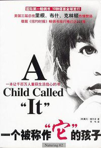 一个被称作它的孩子 (南海出版公司 2003)