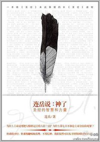 连岳说：神了 (时代文艺出版社 2011)