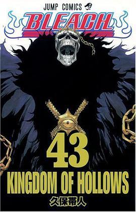 BLEACH―ブリーチ― 43