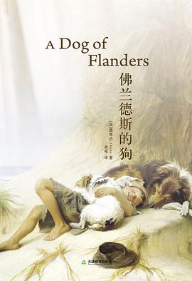 佛兰德斯的狗