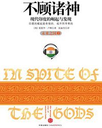 不顾诸神 (中信出版社 2011)