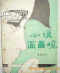 小说面面观