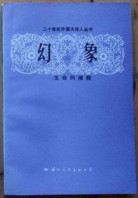 幻象 (国际文化出版公司 1990)