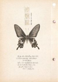 迷蝶誌 (夏日出版社 2010)