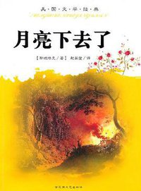 月亮下去了 (百花洲文艺出版社 2009)
