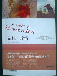 A Walk To Remember - Large Print (Warner Books 1999)