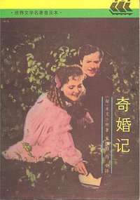 奇婚记 (上海译文出版社 1992)