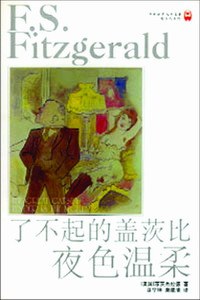 了不起的盖茨比 夜色温柔