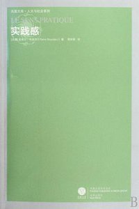 实践感 (译林出版社 2009)
