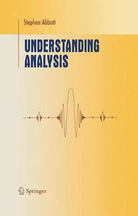 Understanding Analysis (Springer New York 2001)