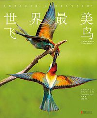 世界最美飞鸟