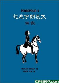 我在伊朗長大4：回家 (香港三聯)