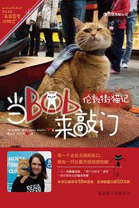 当Bob来敲门 (北京联合出版公司·后浪出版公司 2013)
