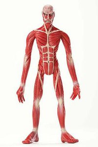 進撃の巨人 7 限定版 (講談社 2012)