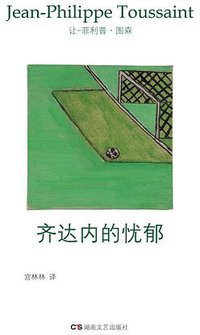 齐达内的忧郁 (湖南文艺出版社 2014)