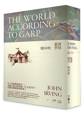 盖普眼中的世界