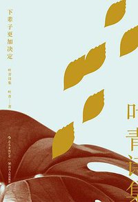 下辈子更加决定：叶青诗集 (后浪丨四川人民出版社 2018)