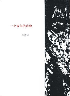 一个青年的肖像