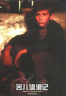 苦儿流浪记