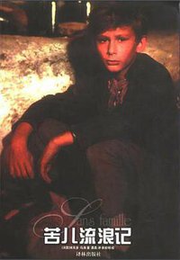苦儿流浪记 (译林出版社 2003)