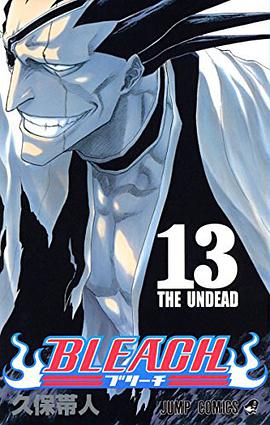 BLEACH―ブリーチ― 13