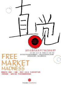 直觉 (中信出版社 2010)