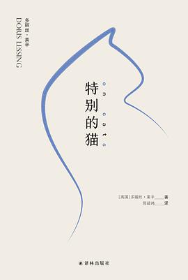 特别的猫